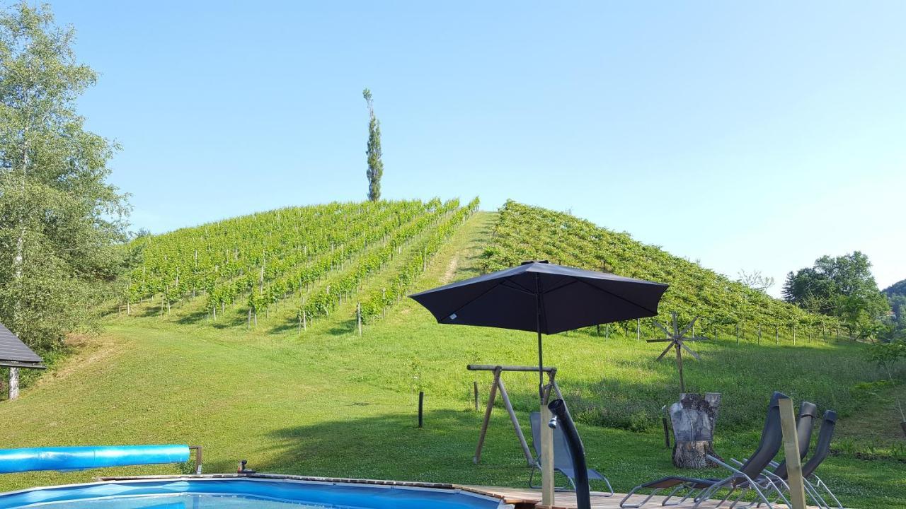 Weingut Lieschnegg Hotel Leutschach Buitenkant foto